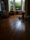 thumbs/pict4445.jpg