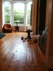 thumbs/pict4448.jpg