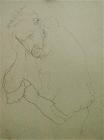 thumbs/PICT0690.png