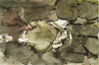 thumbs/PICT0678.png