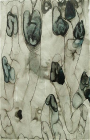 thumbs/PICT0728.png