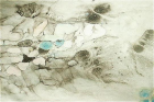 thumbs/PICT0784.png