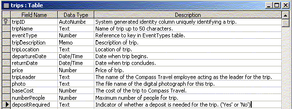 Designing the database for your application